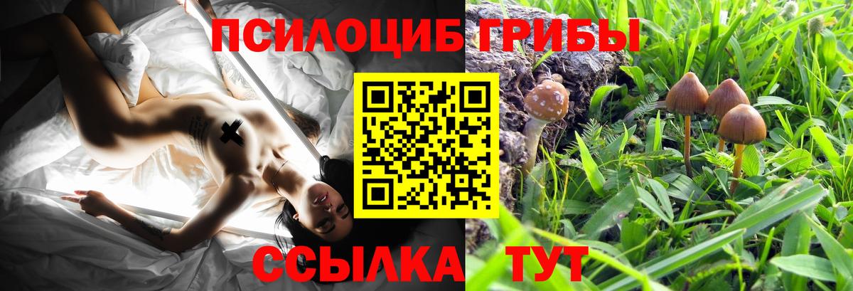 Магнитогорск  Галлюциногенные грибы прущие грибы  Вход с VPN 
