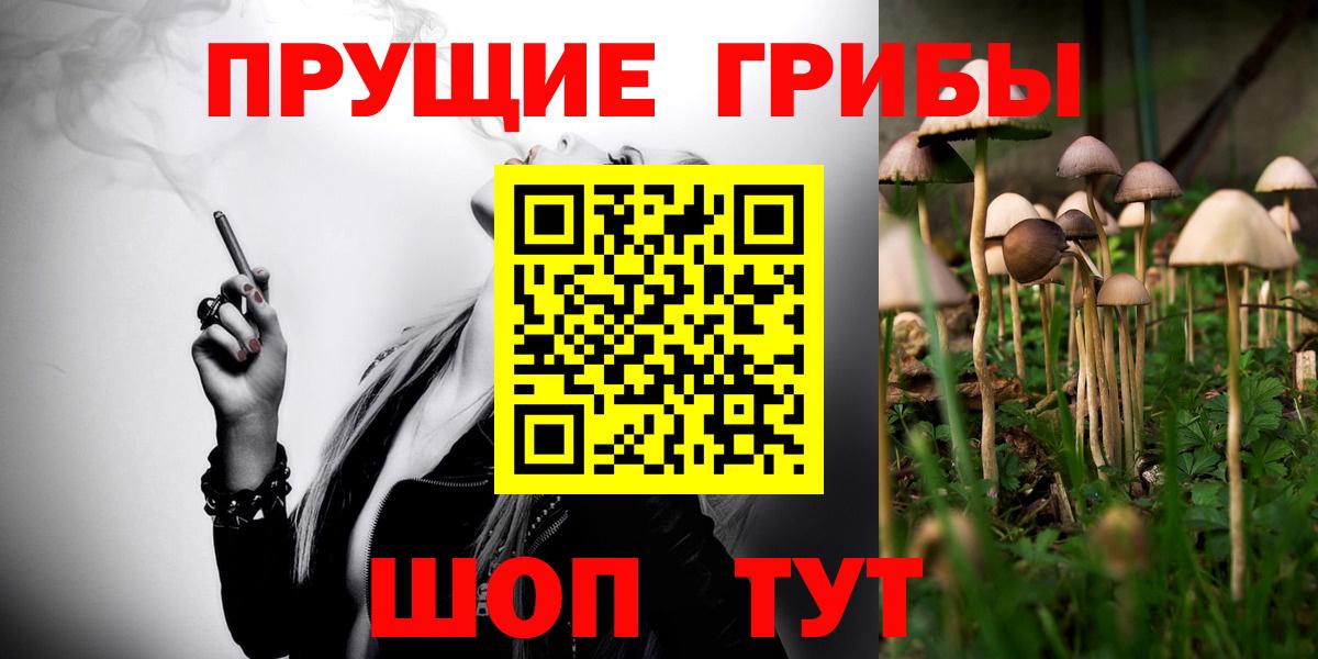 Галлюциногенные грибы Psilocybe Магнитогорск